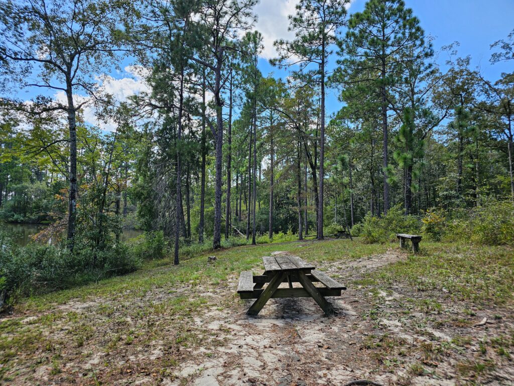 Chipley wilderness